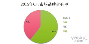 2015 IT影響中國調研報告 DIY篇中的代理代辦現象探析
