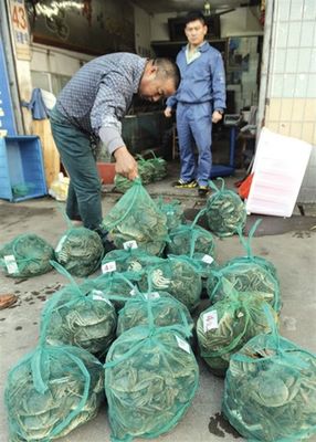 從“蟹蝴蝶”變遷看市場消費趨勢——一次深入的市場調查